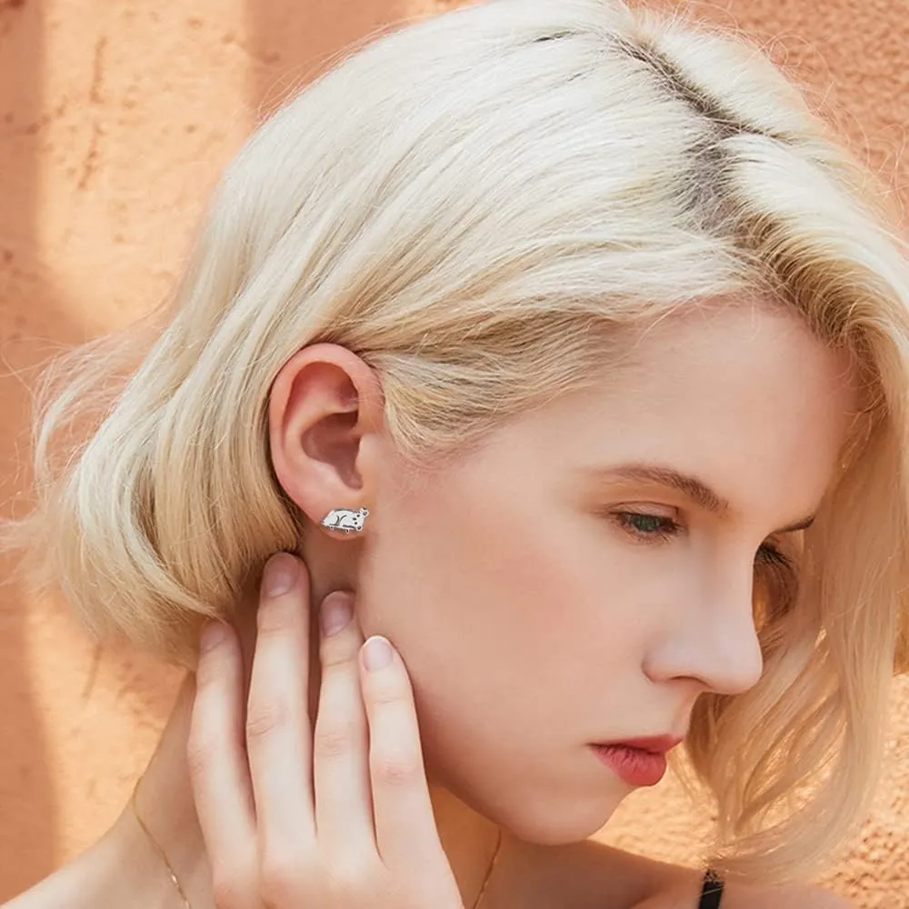 Cute Koala Branches Stud Earrings Stainless Steel Animal Tiny Cartilage Studs Earring Minimalist Jewelry for Women Teen Girls Sensitive Ears