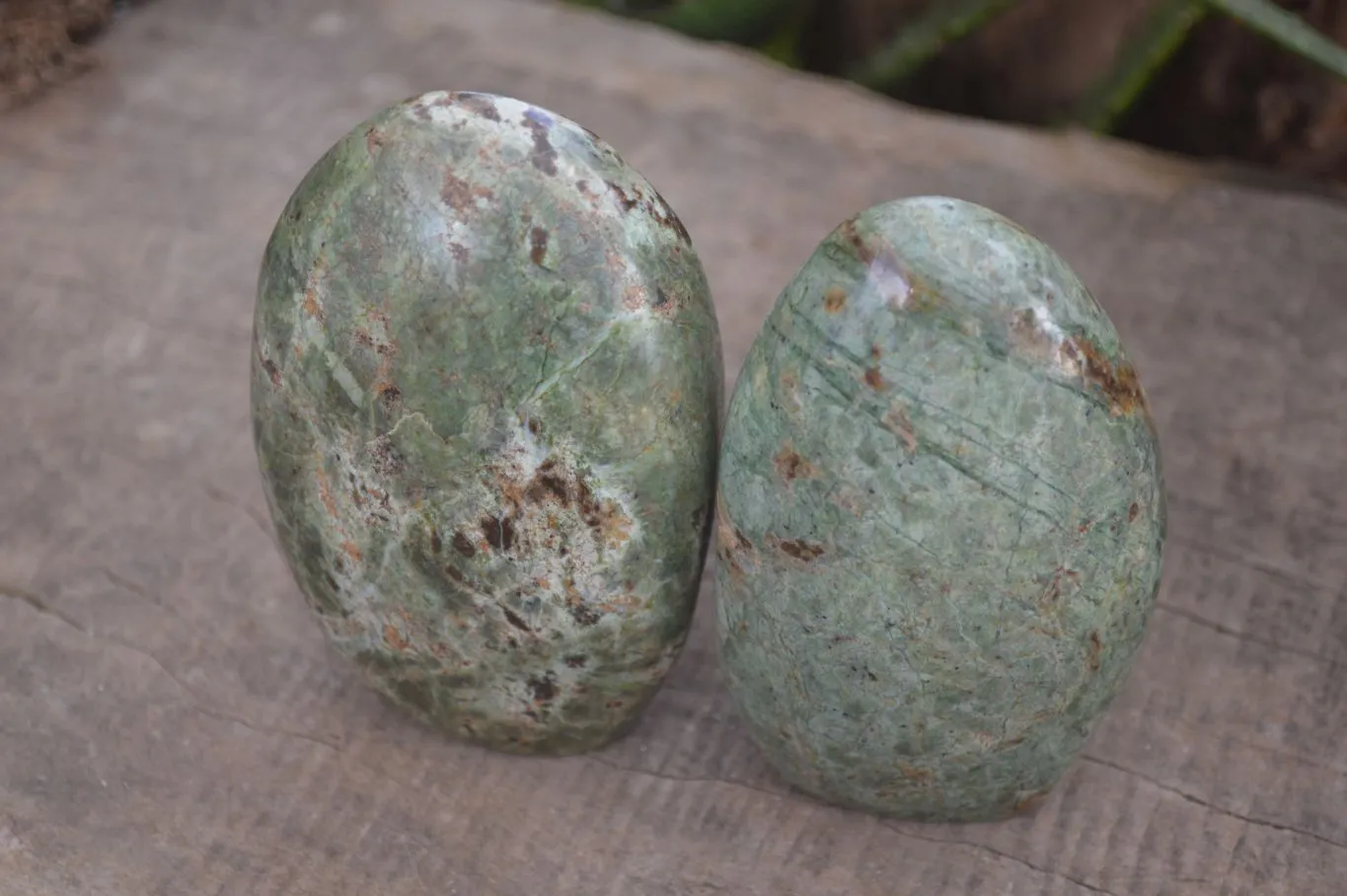 Polished Green Chrysoprase Standing Free Forms  x 2 From Ambatondrazaka, Madagascar